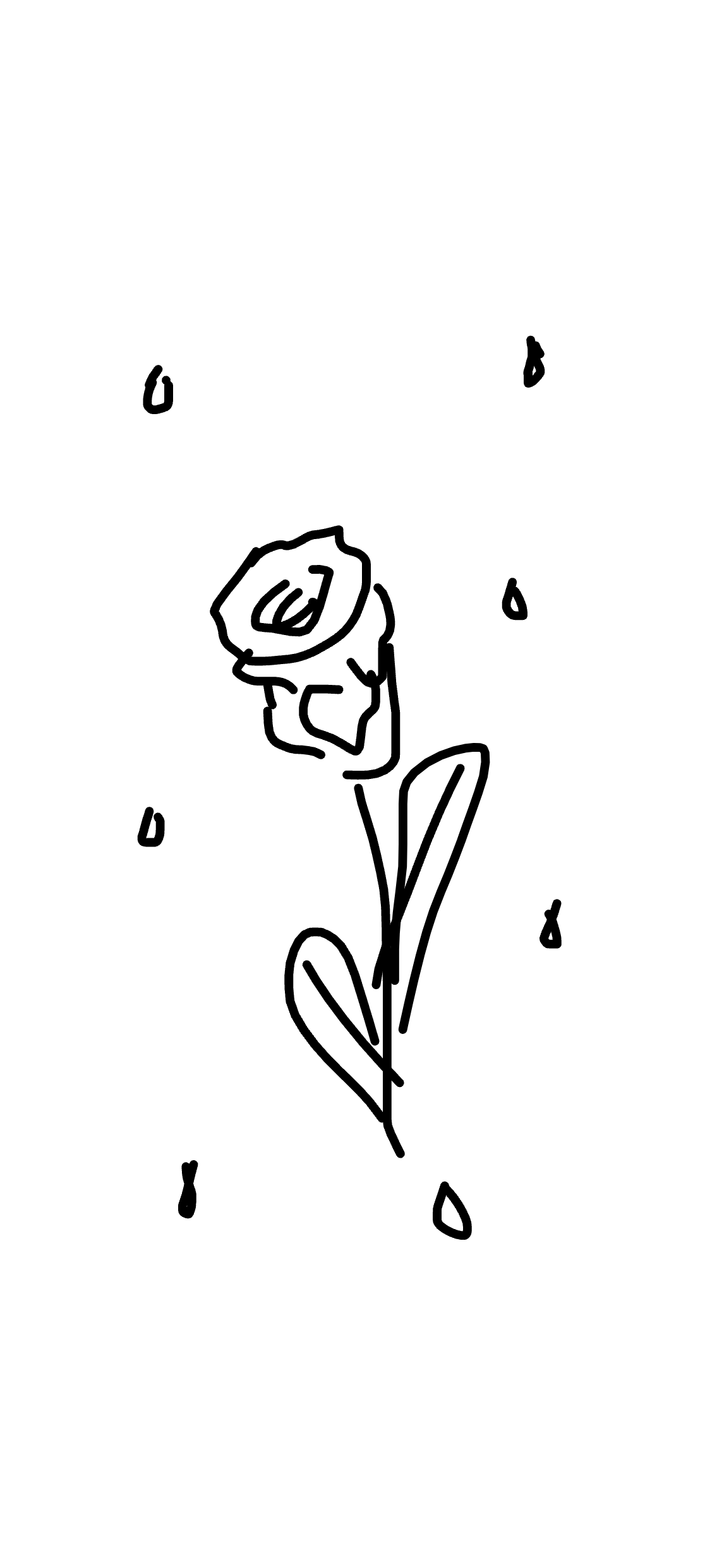 Original Rose Sketch